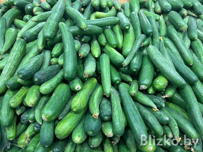 Сравнили цены на продукты в магазинах Беларуси и Израиля. И вот что получилось Сравнили цены на продукты в магазинах Беларуси и Израиля. И вот что получилось